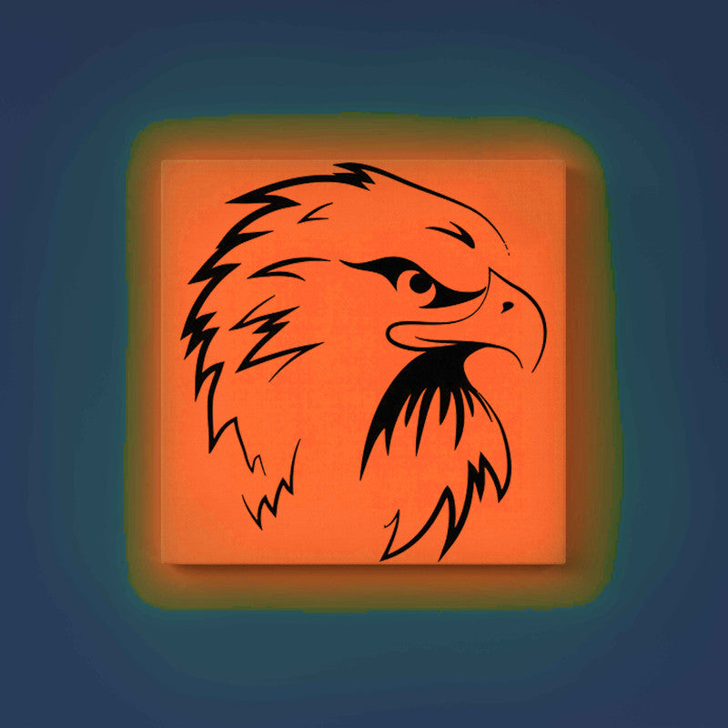 Eagle Head Canvas DIY Painting – Glow in the Dark Kit for Adults & Kids | Eazy Arts DIY Art Set with Brushes - GID-ANM-013