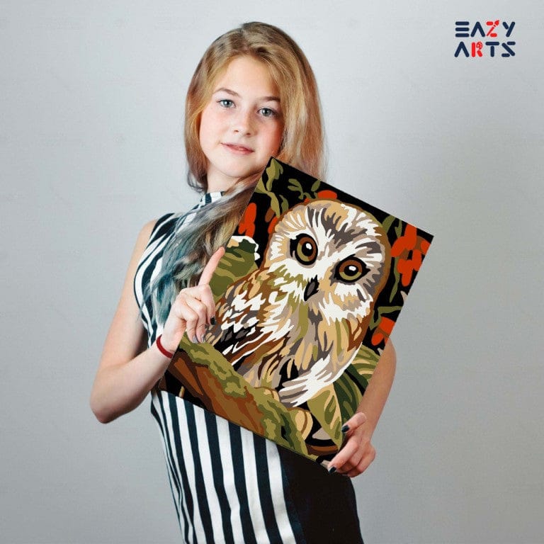 Owl Paint By Numbers kit