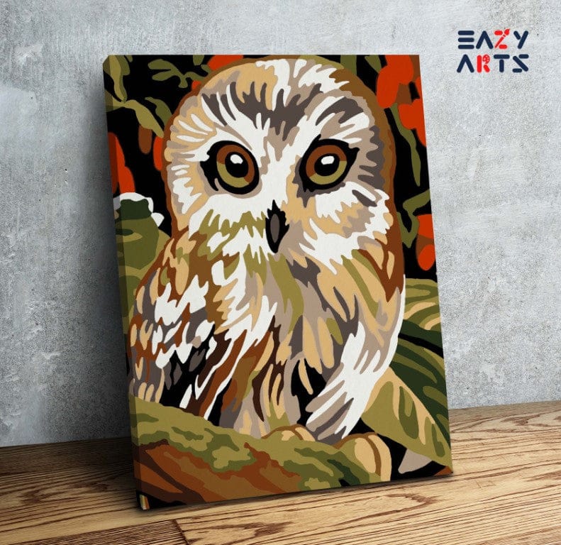 Owl PBN kit for kids