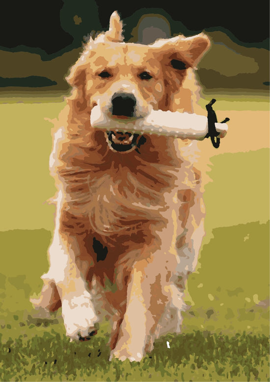 Dog Holding bottle 36 Color paint by Numbers kit in India