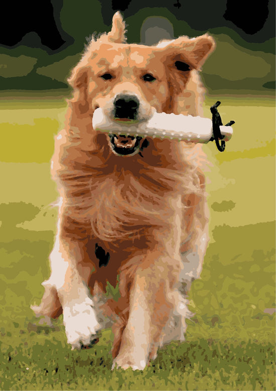 Dog Holding Bottle 48 Colors paint by Numbers kit in India