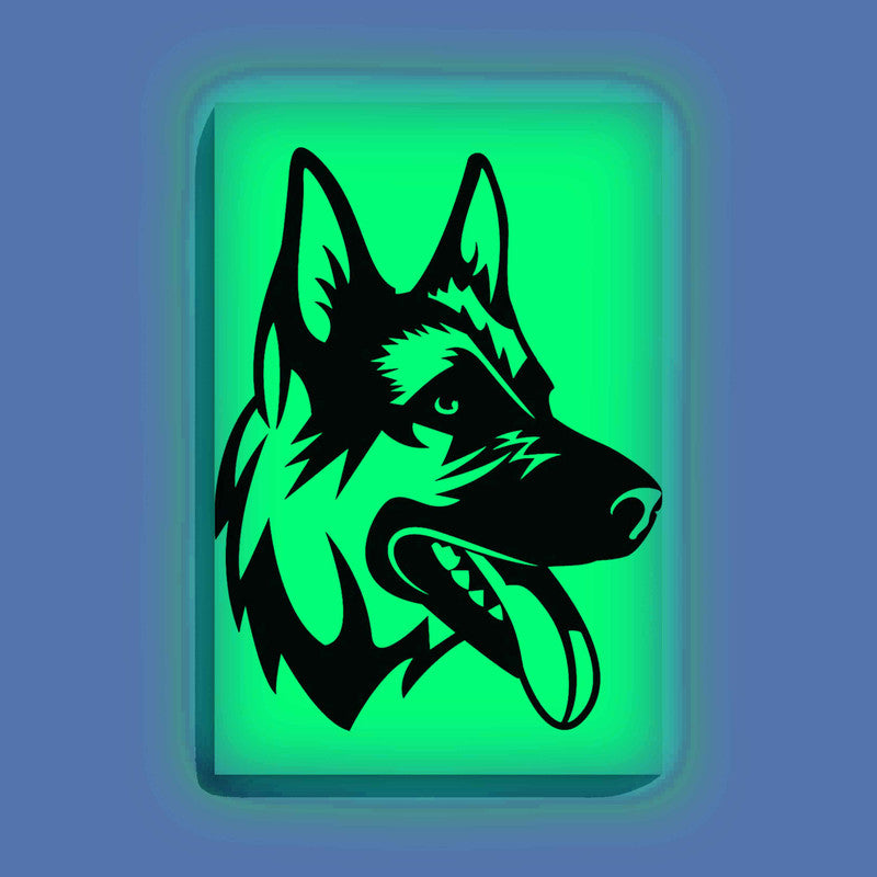 Curious Dog Canvas DIY Painting – Glow in the Dark Kit for Adults & Kids | Eazy Arts DIY Art Set with Brushes - GID-ANM-004