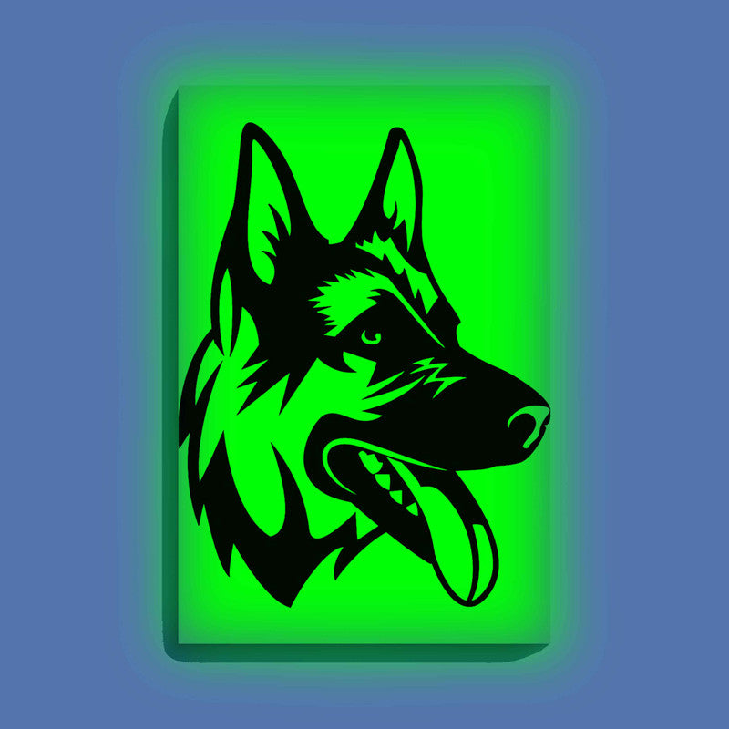 Curious Dog Canvas DIY Painting – Glow in the Dark Kit for Adults & Kids | Eazy Arts DIY Art Set with Brushes - GID-ANM-004