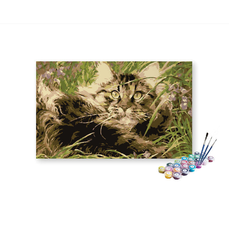 Cat Playing In Grass paint by numbers