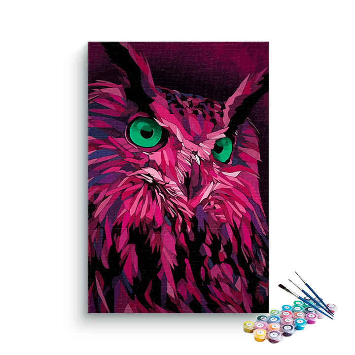 DIY Painting Kit -Pink Owl Paint by Numbers Kit