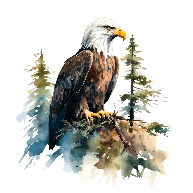 DIY Painting Kit -Eagle Sitting Paint by Numbers Kit