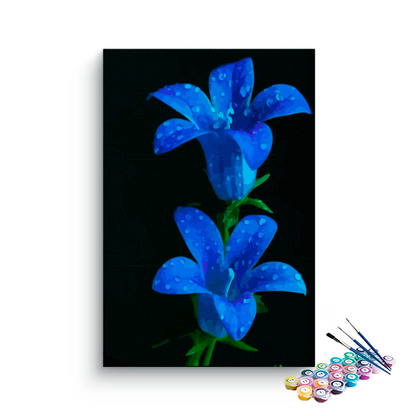 Blue Gentiana Scabra Flower Paint By Numbers kit
