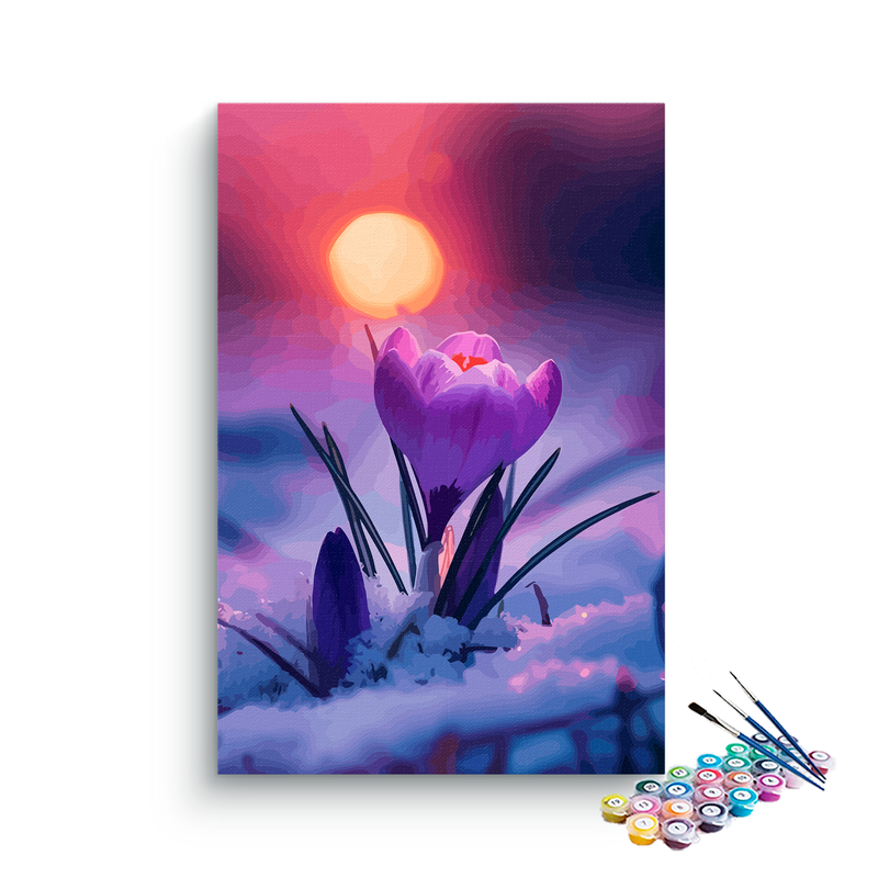 DIY Painting Kit -Winter Bloom Crocus at Sunset Paint by Numbers Kit