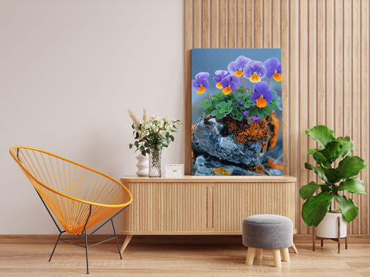 DIY Paint by numbers kit - Alpine Pansies Vibrant Blossoms in the Wild Paint by Numbers Kit