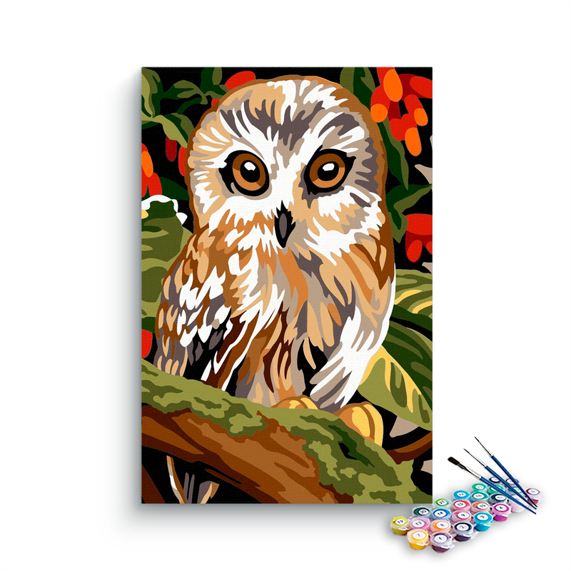 Owl Paint By Numbers kit for kids