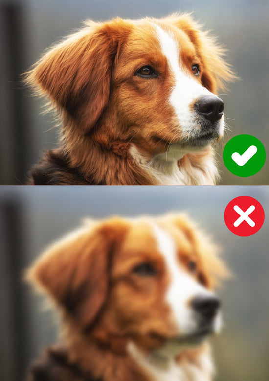 Dont use blurry image for custom paint by numbers kit