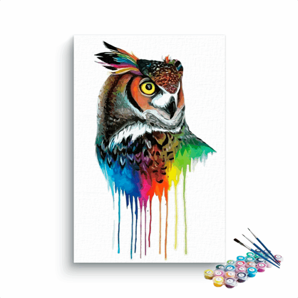 Vibrant Owl Splash Paint by Numbers Kit